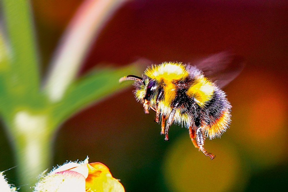 Agile Transformation mit DevOps, Cloud und Microservices