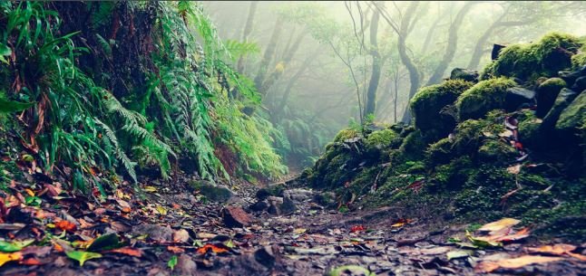 App(-Modernisierung) in die Cloud