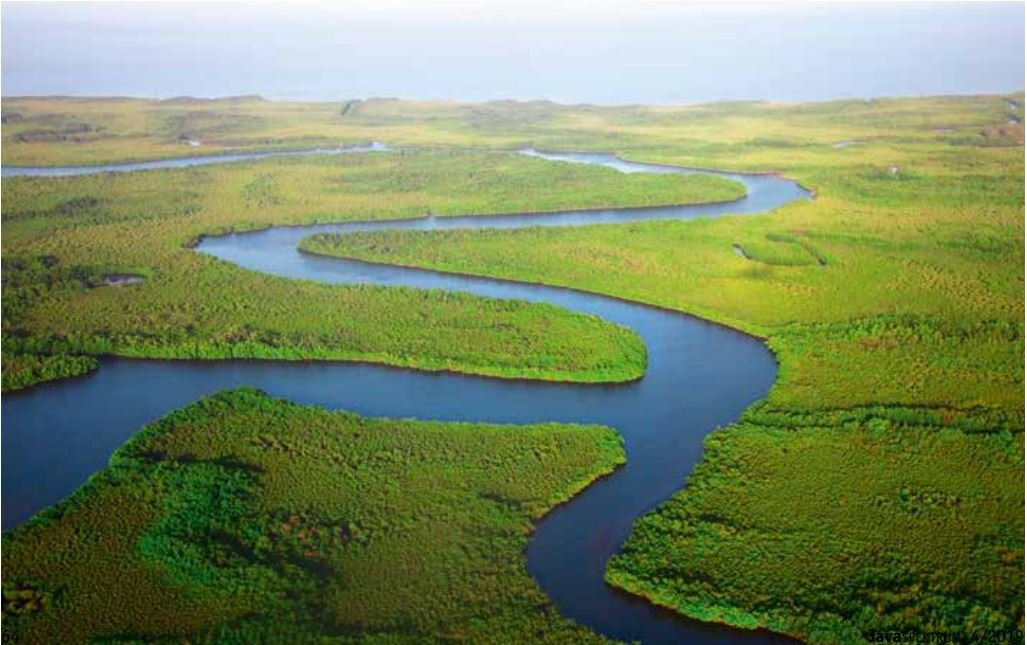 Einführung in ReplicaSet und Service