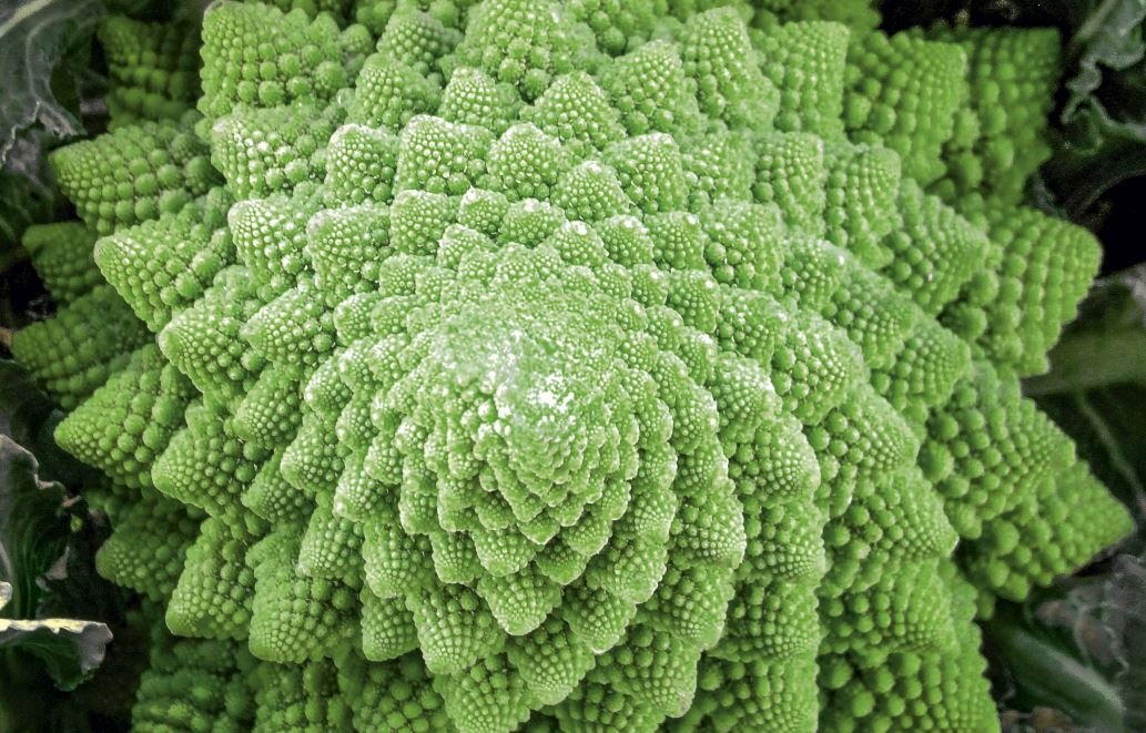 Fractal Architecture for IT – Balance von Autonomie UND Alignment