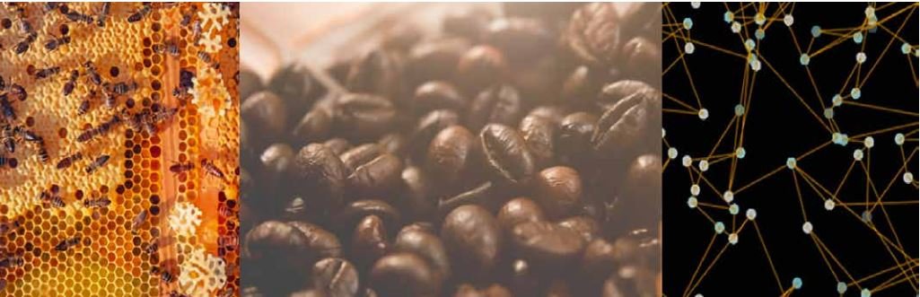 Aufbau eines Java-basierten Open-Source-MQTT-Stacks