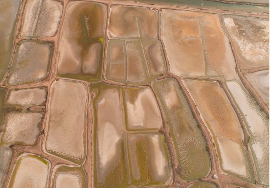 Data Lake und Data Warehouse – Konkurrenz oder Ergänzung?