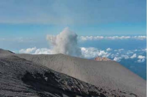 Ein Blumenstrauß voller JVMs