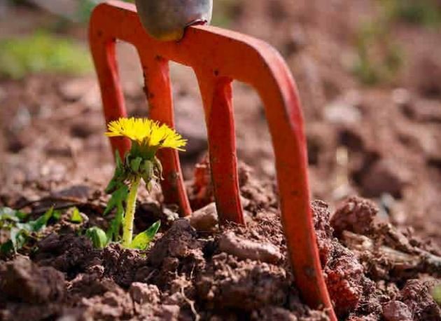 Widerstandsfähigen Java-Code mit Resilience4j schreiben