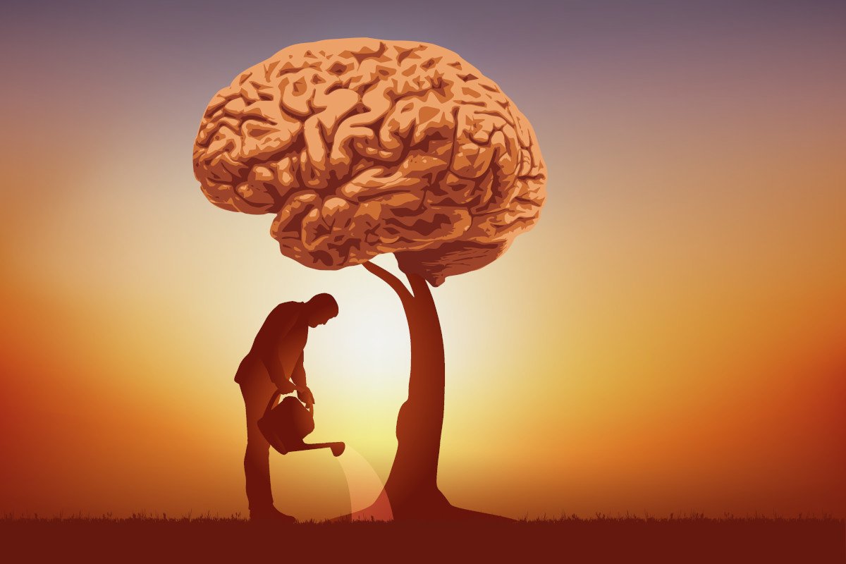 Kompetenzaufbau mit Struktur