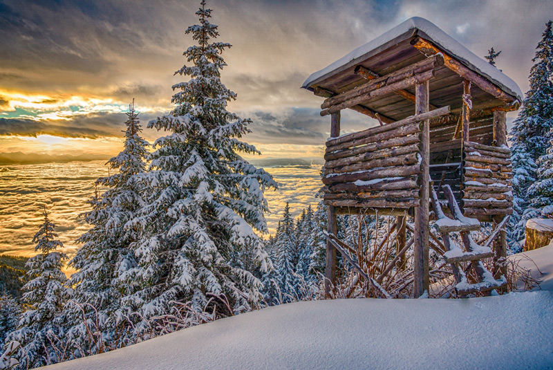 Der Foerster und die Softwarearchitektur