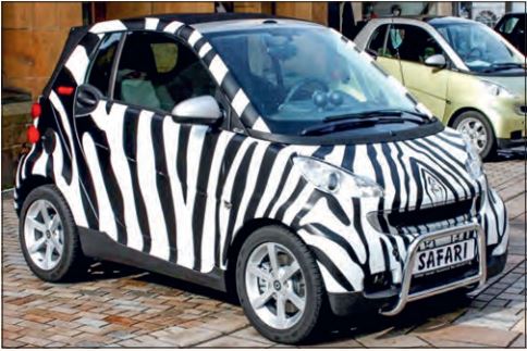 Abb5_EinAutomiteinemZebraMuster