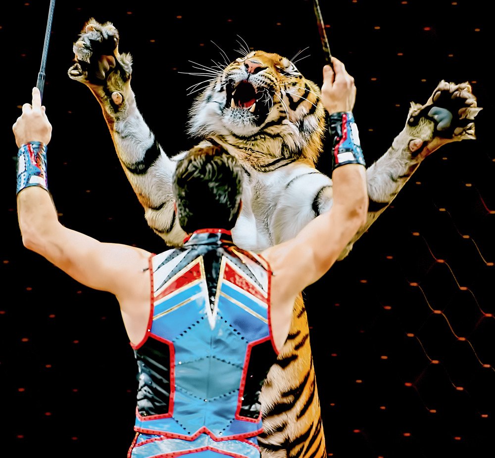 Die sechs Phasen der Tool-Bändigung