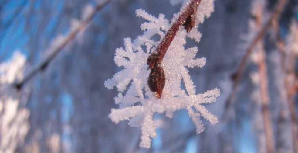 Architektur trifft auf Digitalisierung