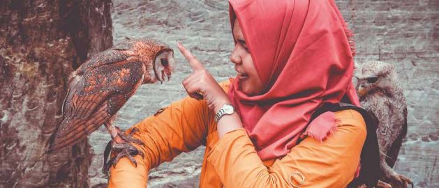 Weiterführende Themen zum Umgang mit Maven