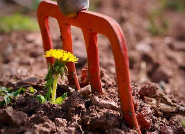 Widerstandsfähigen Java-Code mit Resilience4j schreiben