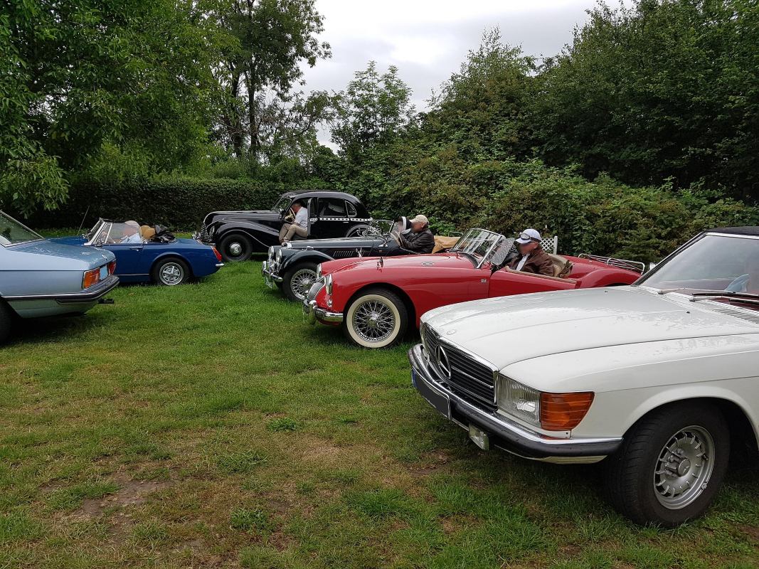 Merkmalsmodelle im Anforderungsmanagement: Erkenntnisse aus einer industriellen Fallstudie und Implikationen für Software- und Systementwicklung